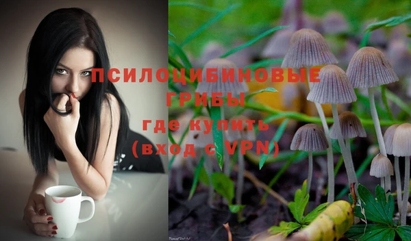 каннабис Алзамай