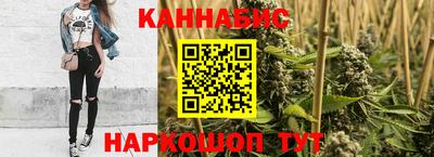 стаф Будённовск