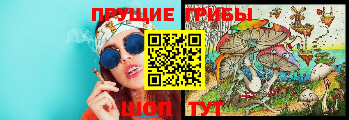 Псилоцибиновые грибы Psilocybe  Вход с VPN  Дедовск  Псилоцибиновые грибы прущие грибы 